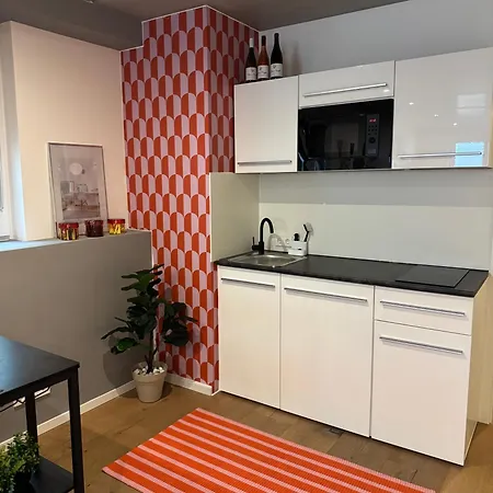 Apartament Kaiserstay - Sonne, Wein Und Ruhe Endingen am Kaiserstuhl