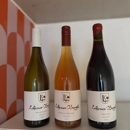 Kaiserstay - Sonne, Wein Und Ruhe Endingen am Kaiserstuhl